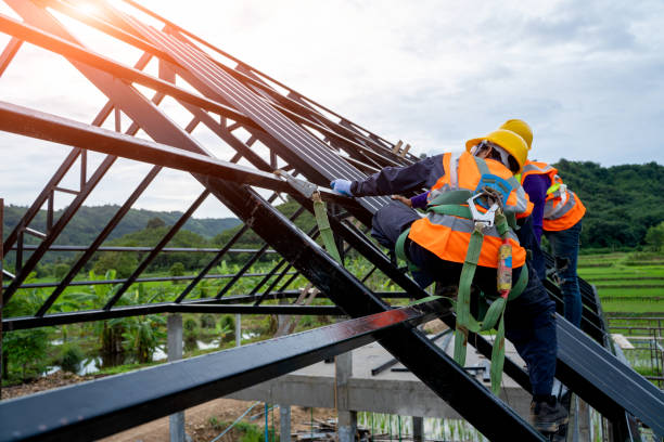 Best Flat Roof Repair Services  in Llington, MI