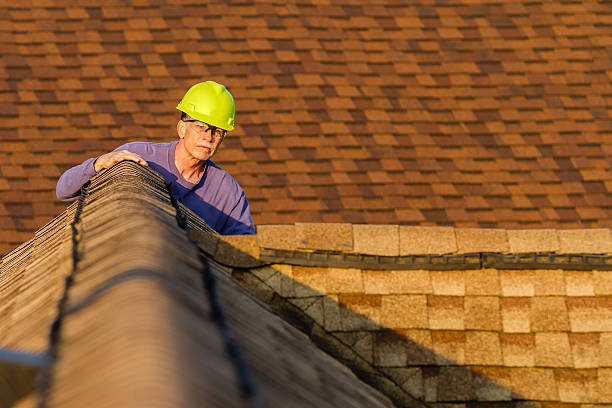 Best Roof Repair Services  in Llington, MI
