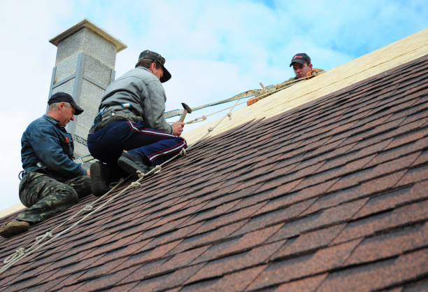 Best Affordable Roofing Company  in Llington, MI