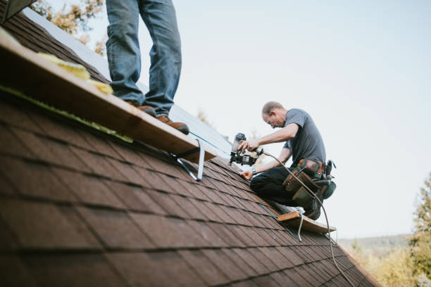 Best Gutter Installation and Roofing  in Llington, MI